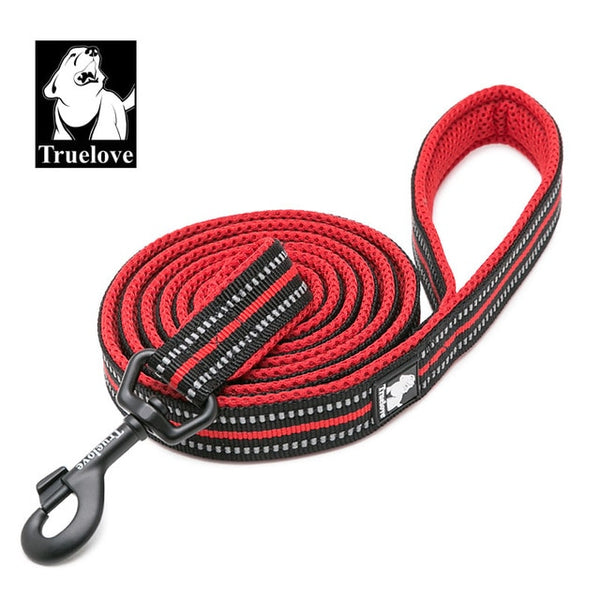 Nylon Reflective Leash