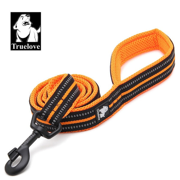 Nylon Reflective Leash