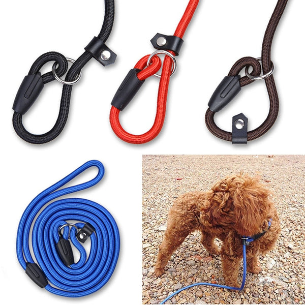 Nylon Rope Dog Leash