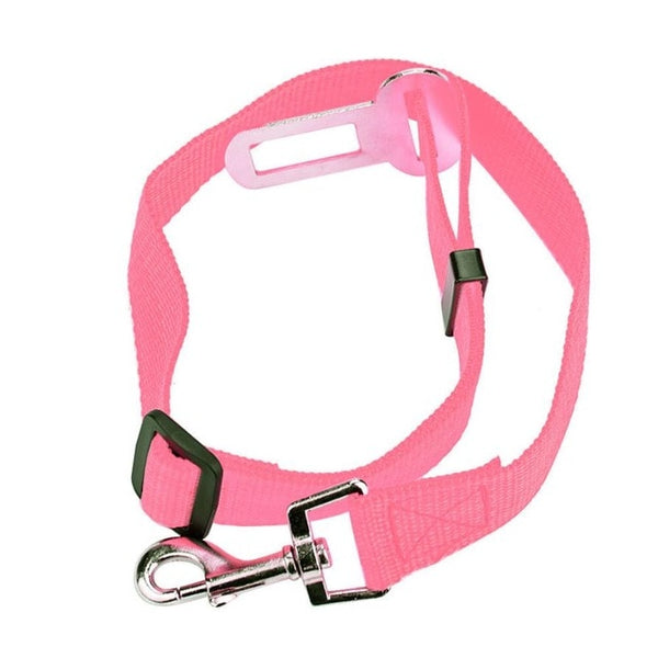 Dog Seat Belt